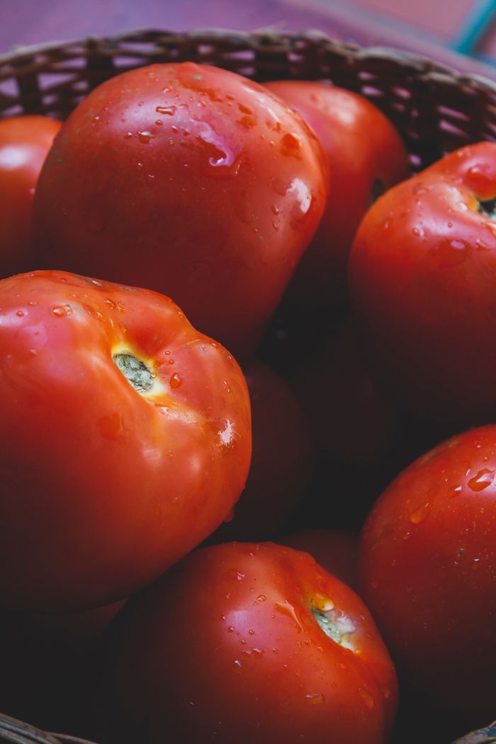 A collection of vibrant, fresh tomatoes in a wicker basket, glistening with dewdrops.