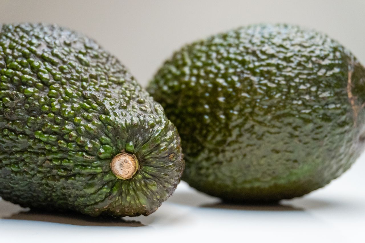 services-02 Detailed close-up of two fresh avocados on a white surface, showcasing texture and healthy green color.