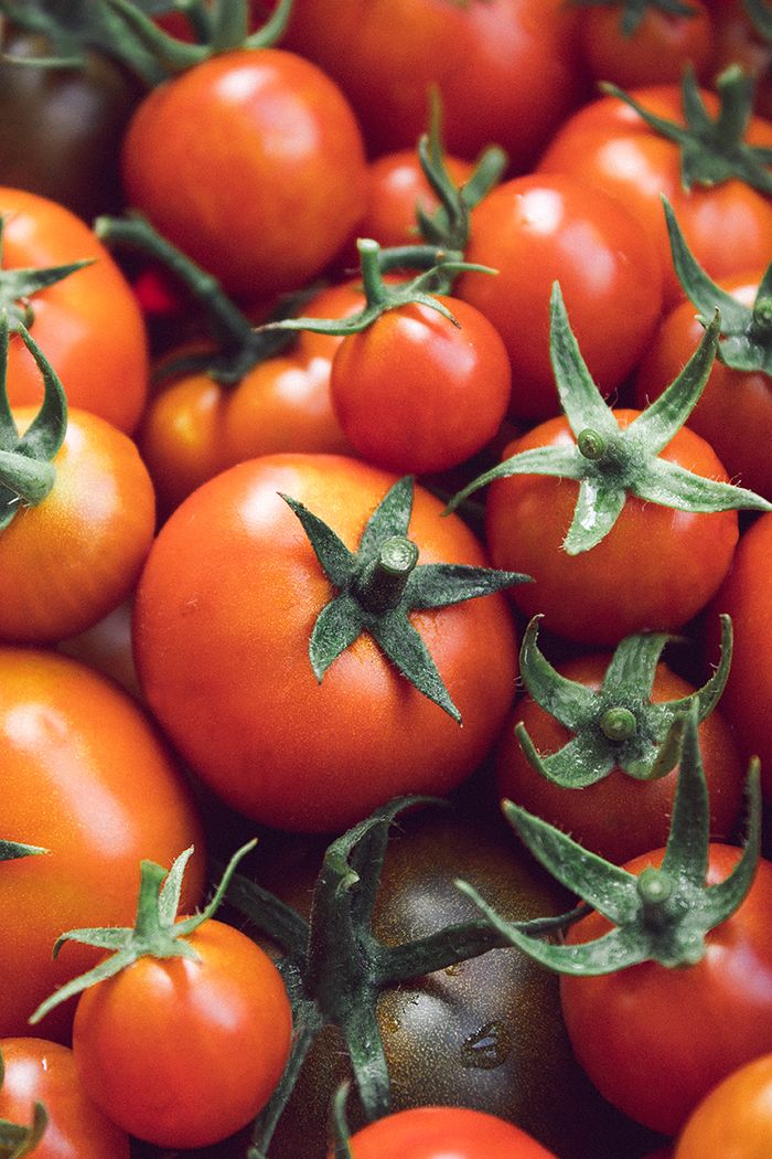 A close-up image showcasing vibrant red tomatoes with green stems, highlighting their freshness.